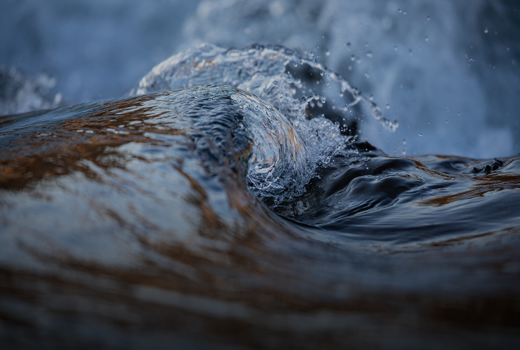 단기투자형 펀드