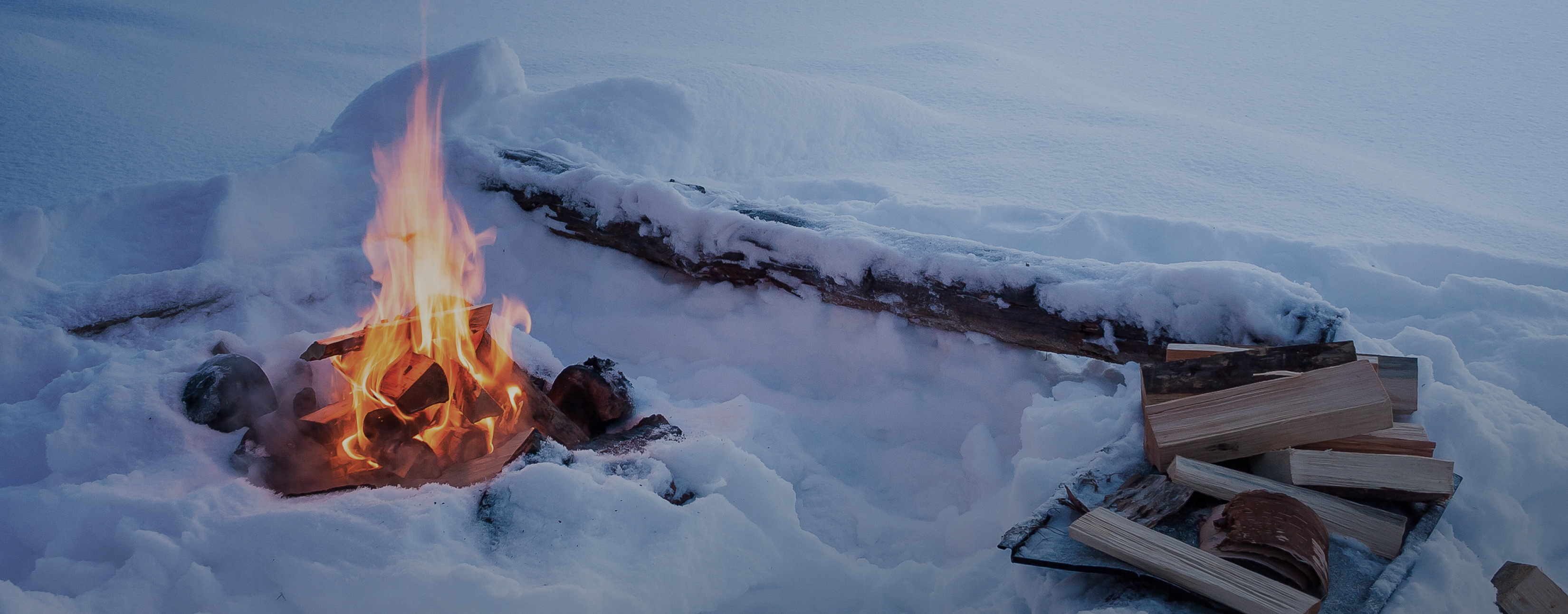 pension fund visual image